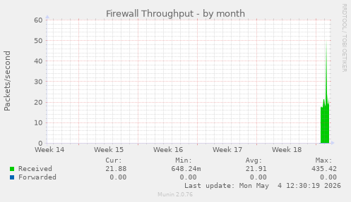 Firewall Throughput